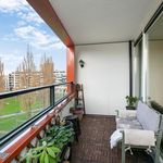 Rent 2 bedroom apartment of 100 m² in Amsterdam