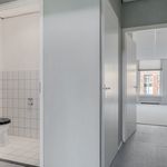 Rent 2 bedroom house of 95 m² in Leeuwarden