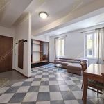 Rent 1 bedroom apartment of 62 m² in Modena