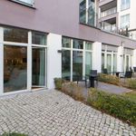 Rent 1 bedroom apartment of 46 m² in Berlin