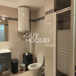 Rent 2 bedroom apartment of 40 m² in Saint-Pierre-en-Faucigny