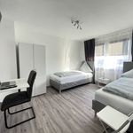 Rent 2 bedroom apartment of 40 m² in Pforzheim