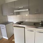 Rent 1 bedroom apartment of 30 m² in Clermont-Ferrand