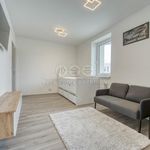 Rent 1 bedroom apartment of 26 m² in Ostrava