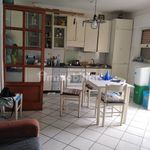 Rent 3 bedroom apartment of 60 m² in Gizzeria