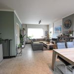 Rent 3 bedroom house of 317 m² in Dentergem