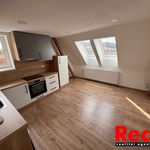 Rent 3 bedroom apartment of 69 m² in Radenín