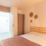 Rent 4 bedroom apartment of 60 m² in Gradignan