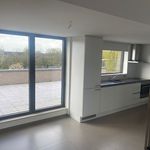 Rent 1 bedroom apartment in Kruibeke