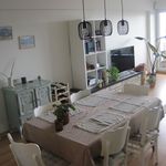 Rent 2 bedroom apartment of 95 m² in Gent