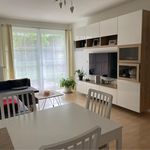 Rent 3 bedroom apartment of 57 m² in Graz