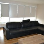 Rent 2 bedroom apartment in Oupeye