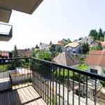 Rent 2 bedroom apartment of 59 m² in Jáchymov