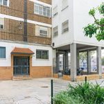 Rent 4 bedroom apartment of 83 m² in Sevilla