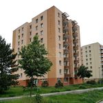 Rent 1 bedroom apartment of 31 m² in České Budějovice