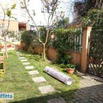 Rent 1 bedroom house of 55 m² in Rome