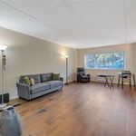 Rent 1 bedroom apartment of 910 m² in Tarrytown