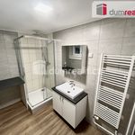 Rent 2 bedroom apartment of 40 m² in Ústí nad Labem