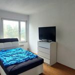 Rent 3 bedroom apartment of 92 m² in Marchegg