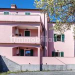 Rent 1 bedroom apartment of 30 m² in Celle Ligure