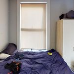 Rent 1 bedroom student apartment in 68