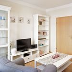 Rent 2 bedroom apartment of 53 m² in Leipzig