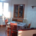 Rent 3 bedroom apartment of 90 m² in Albano Laziale