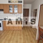 Rent 1 bedroom apartment of 36 m² in Píšťany