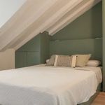 Rent 1 bedroom apartment of 53 m² in Madrid