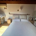 Affitto 2 camera appartamento di 40 m² in Empoli