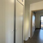 Rent 3 bedroom apartment of 71 m² in Penta-di-Casinca