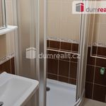 Rent 1 bedroom apartment of 39 m² in Vítkov