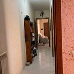 Rent 4 bedroom apartment of 110 m² in Ladispoli