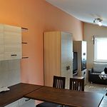 Rent 1 bedroom house of 25 m² in Krasne