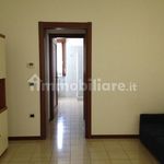 Rent 1 bedroom apartment of 55 m² in Verona