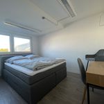 Miete 6 Schlafzimmer wohnung von 130 m² in Karlsruhe