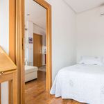Rent 1 bedroom apartment in Murcia