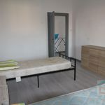 Affitto 1 camera appartamento di 120 m² in Bicinicco