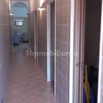 Rent 4 bedroom apartment of 90 m² in Porto Cesareo
