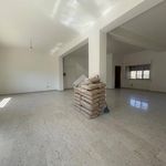 Affitto 1 camera appartamento di 100 m² in Atina
