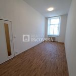Rent 3 bedroom apartment of 105 m² in Ústí nad Labem