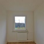 Rent 3 bedroom apartment of 53 m² in Limbach-Oberfrohna