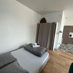 Appartement de 29 m² avec 1 chambre(s) en location à Saint-Étienne