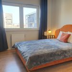 Rent 3 bedroom apartment of 70 m² in Łódź