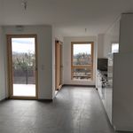 Rent 2 bedroom apartment of 40 m² in ST LOUIS