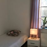 Rent 1 bedroom house of 500 m² in Sjöbo