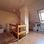 Rent 3 bedroom house of 230 m² in Lokeren