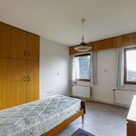 Huur 7 slaapkamer huis van 347 m² in Meerhout