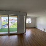 Rent 3 bedroom apartment of 96 m² in Hésingue