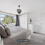 Rent 5 bedroom house in Windsor